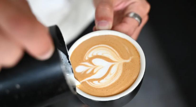 A testünknek biztosan nincs szüksége arra, hogy növényi tejre váltsunk, de az se világos, hogy a környezetnek van-e