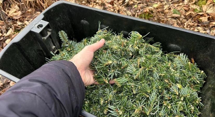 Itt a tavasz, de a talaj máris szomjazik: ássuk, rotáljuk vagy inkább takarjuk a földet?