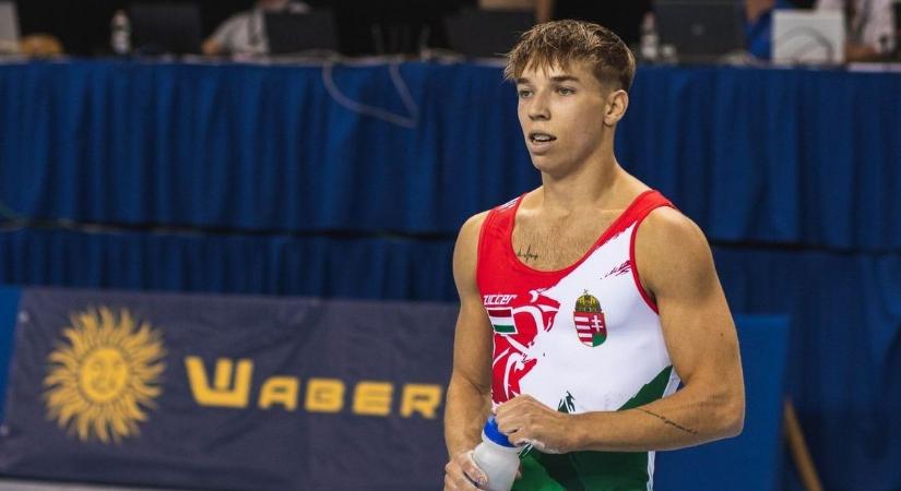 Molnár Botond ösztöndíjat kapott