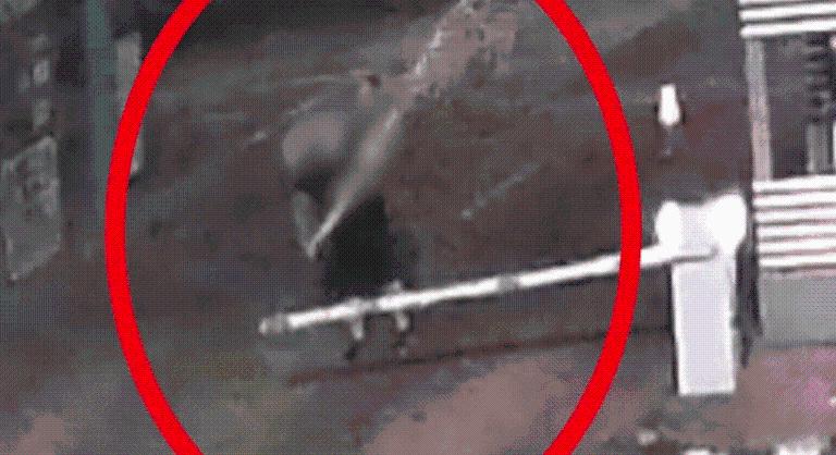 Letörte a sorompókat egy férfi, amikor realizálta, nem jár hajnalban a komp