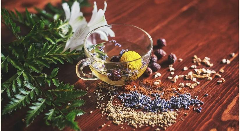 Figyelem! Mérgező gyógynövény kerülhetett több ezer magyar háztartásba