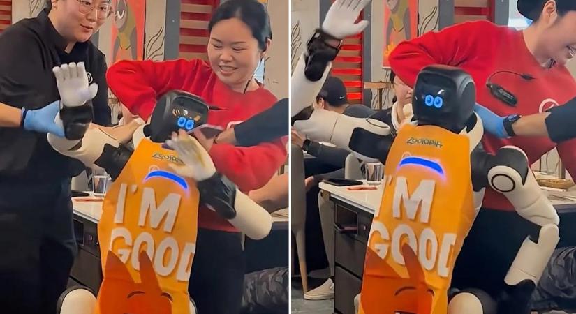 Elszabadult táncoló robot okozott káoszt egy kaliforniai étteremben