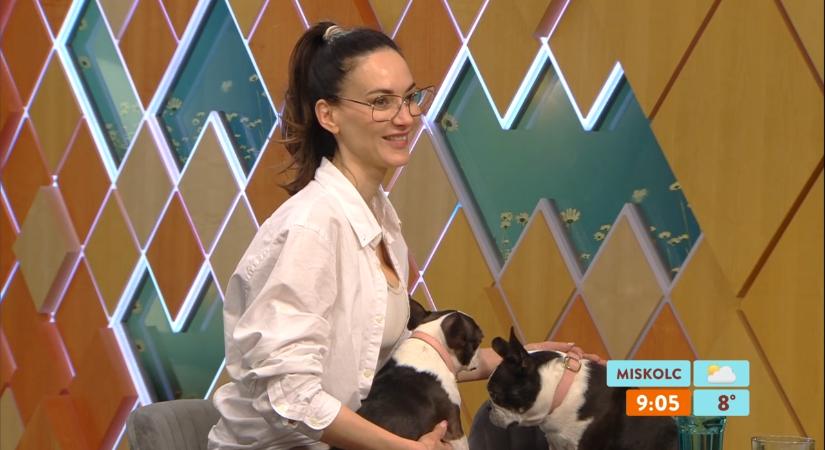 Ennyit változott A mi kis falunk szexi színésznője, Ripli Zsuzsi így élte meg az elmúlt 10 évet