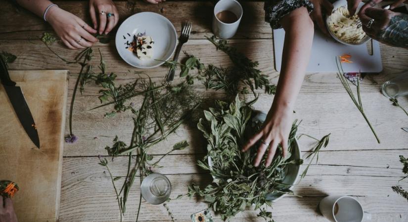 Nagyanyáink „hamis gyógyírja”, ami ingyen terem az árokparton