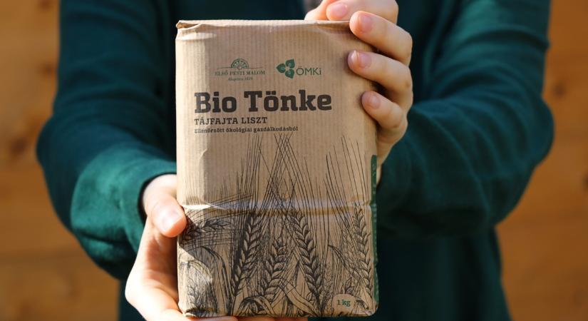 50 elfeledett fajta: ezért térnek vissza az ősgabonák