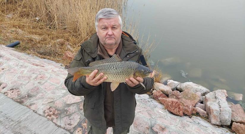 A Velencei-tónál is megkezdődik a haltelepítés