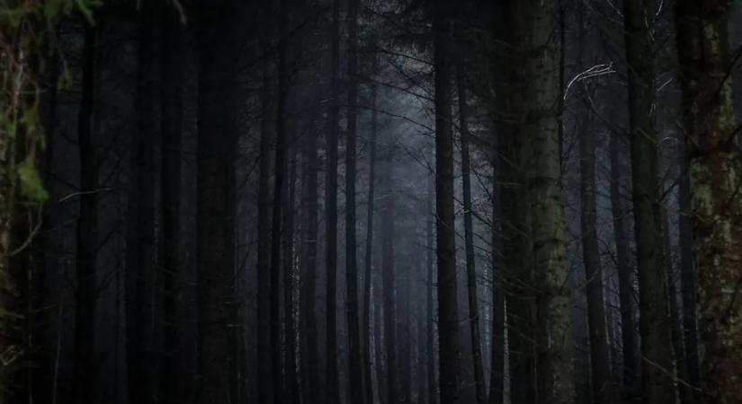 Brutálisan megerőszakolt egy 19 éves lányt a nigériai migráns, döbbenetes indokkal engedték szabadon