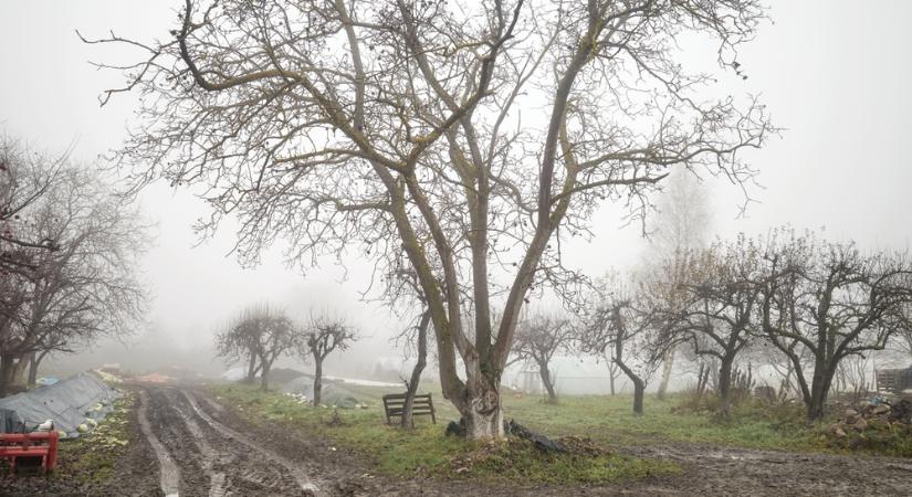 Figyelmeztet az MVM: nagy bajba kerülhet, aki ezt nem teszi meg
