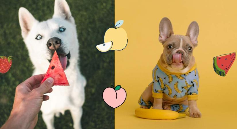 Méregként hat a kutyákra ez a gyümölcs, és sokan nem is sejtik