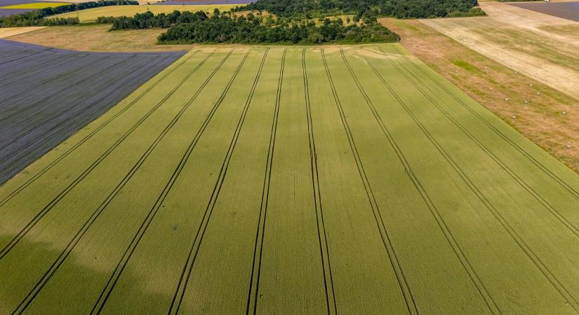Esőért fohászkodnak az őszi vetések