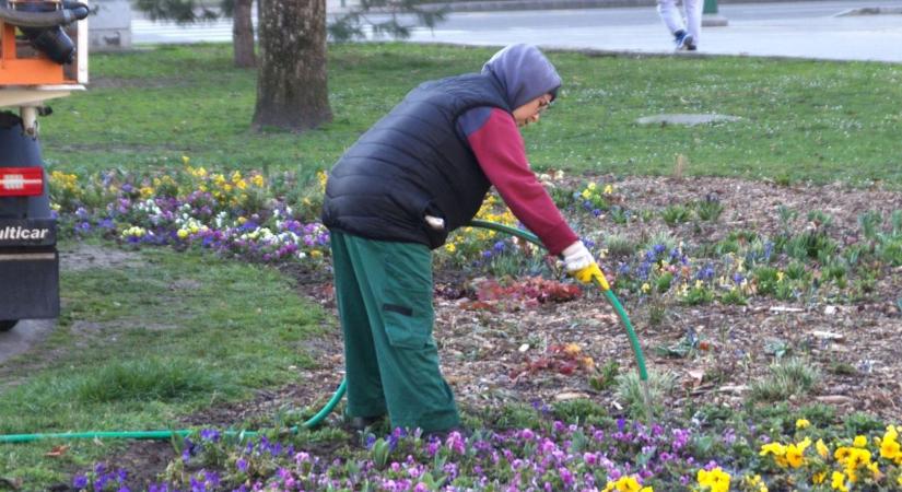 Nemcsak a buszvárók ragyognak: gépek bukkantak fel a szegedi parkokban
