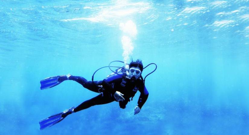 Valami elképesztőt talált az anya-lánya páros a tenger mélyén: egy igazi óriásra bukkantak