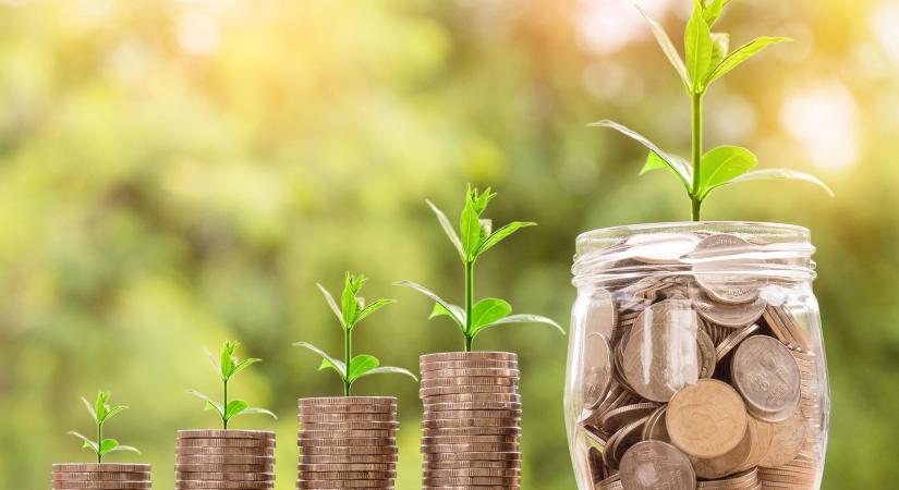 Stratégiai lendület a kkv-knak: 5 gyakorlati tipp 2026-ra