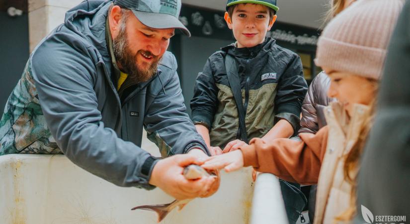 Magyar Hal Napja az Esztergomi Piacon