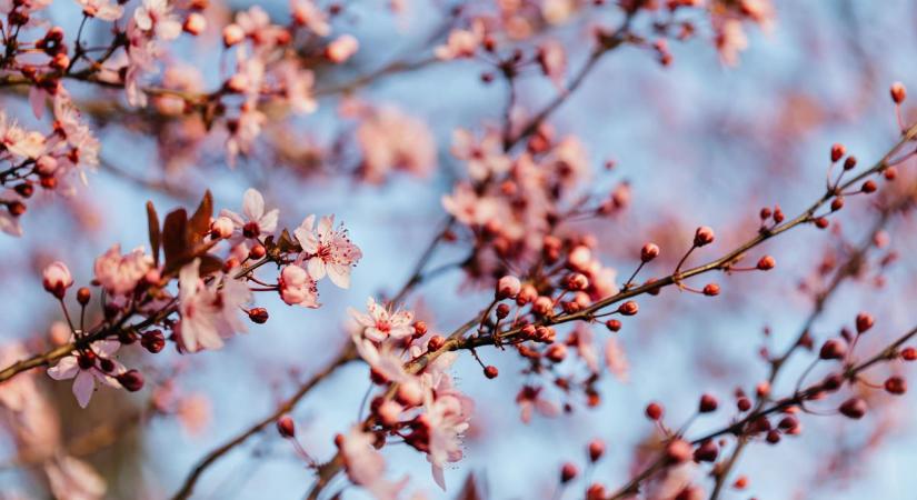 Sokan fognak most nagyot koppanni – nem úgy fognak alakulni a dolgok, ahogy azt sok magyar remélte