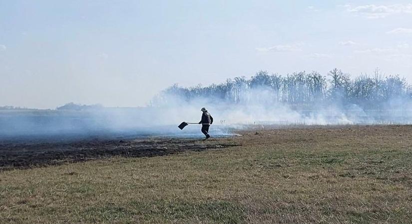 Van magyarázat? Mindenkinek leesett az álla, mi tűnt fel a Tisza-tónál a füstben – fotóval
