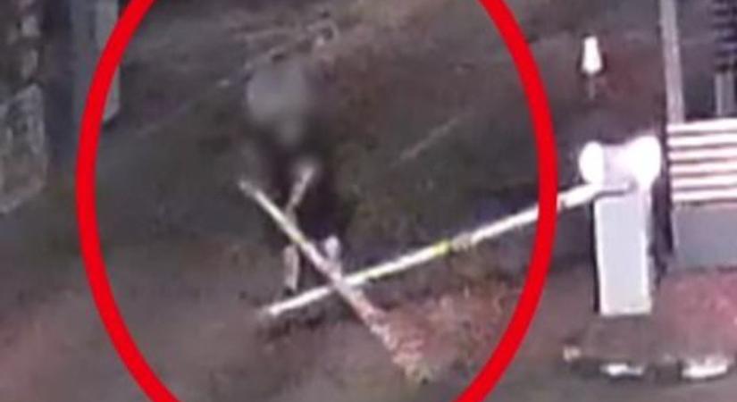 „Fénykardozott” a sorompóval: elképesztő ámokfutás a balatoni révnél (videó)