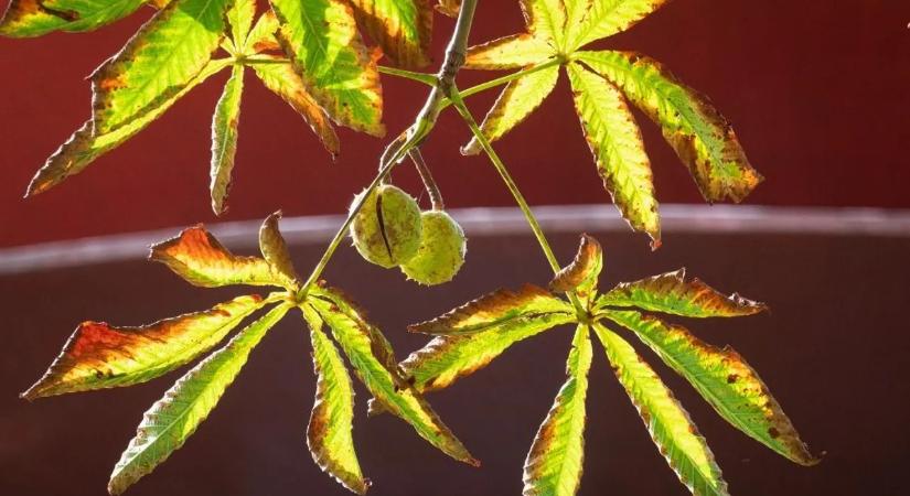 Ezt biztosan rosszul tanulta - tudósok cáfolják a tankönyveket