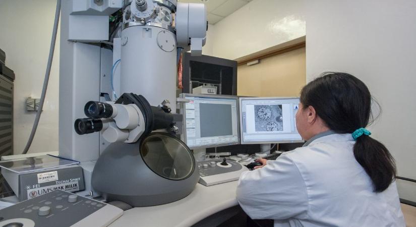 Ismeretlen, titokzatos embercsoportot azonosítottak Dél-Amerikában