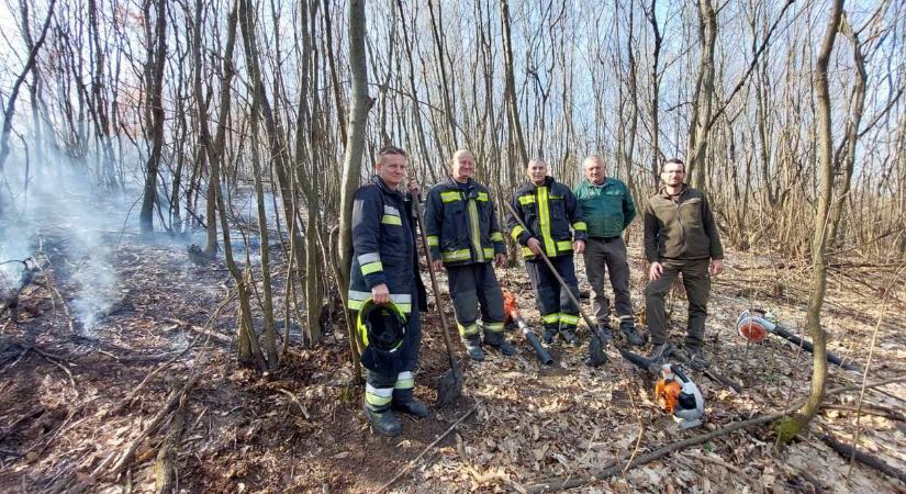 Fél hektáron égett az erdő Szilvásváradnál, gyújtogatás állhat a háttérben