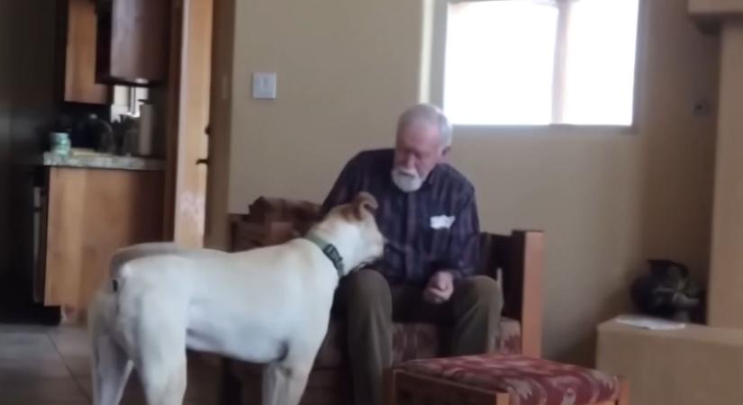 „Csoda történt” – Évek óta nem szólt egy szót sem a beteg nagypapa, aztán belépett a kutya a szobába...
