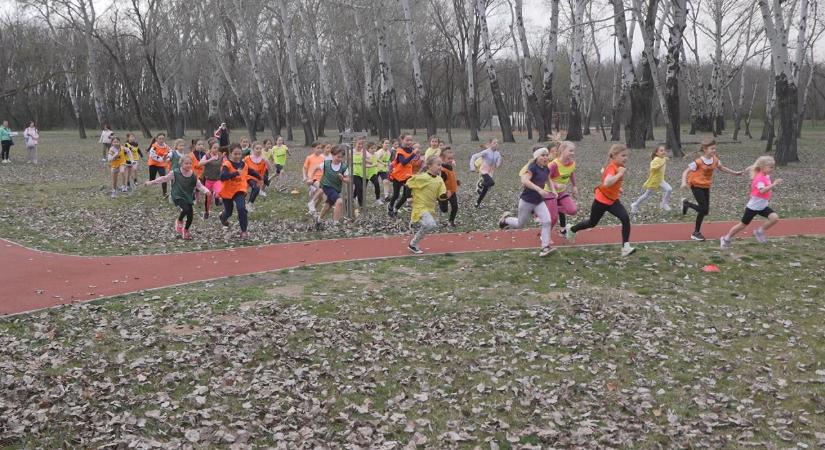 Rekordot döntött a részvétel