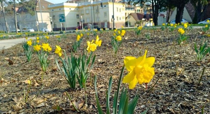 Jéghideg lesz a hajnal Zalaegerszegen, így alakul a holnapi időjárás