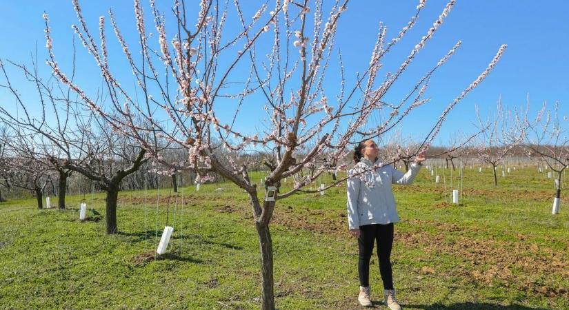 Az időjárásban változás állt be, lehűlt a levegő