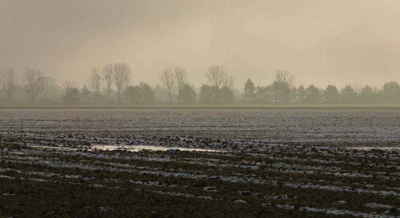 Készülhetnek a mezőgazdászok a hajnali fagyokra? Ilyen lesz Kecskemét időjárása