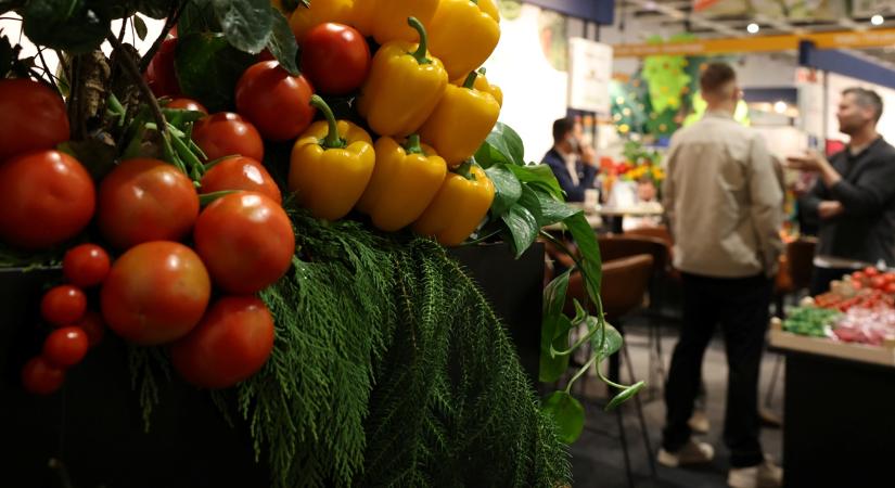 Ezt tudja a magyar fejlesztés, ami lenyűgözte a világot a Fruit Logisticán