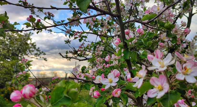 Délután egyre több gomolyfelhő jelenik meg