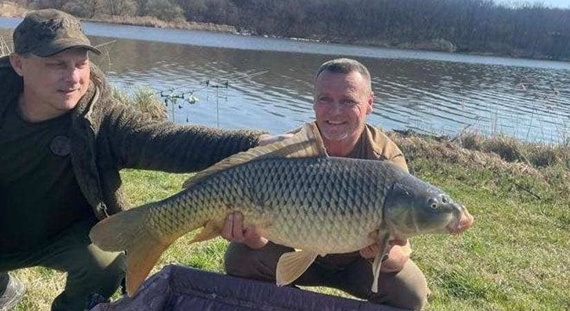 Az idei első nagyobb pontyok a Desedán – horogra akadt egy 12 kilós is