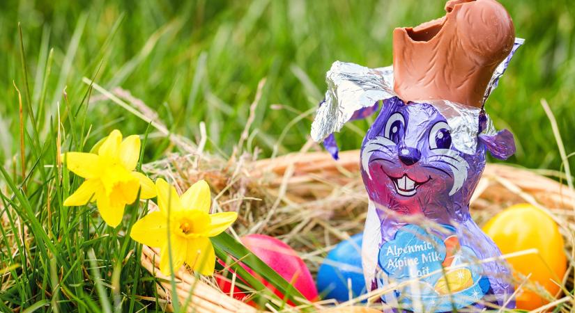 Itt a nagy csokinyuszi teszt! Mutatjuk melyik a legfinomabb!