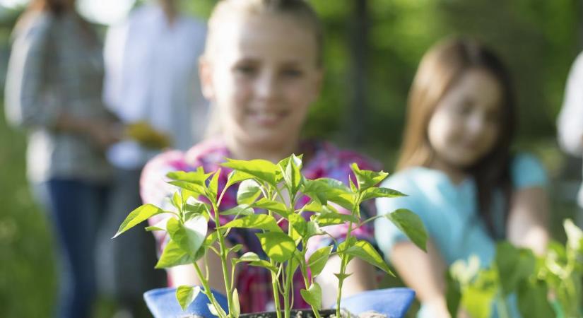 4 millió forint zöld fejlesztésekre: Elstartolt a Zöld Rügy díj a határ menti településeknek