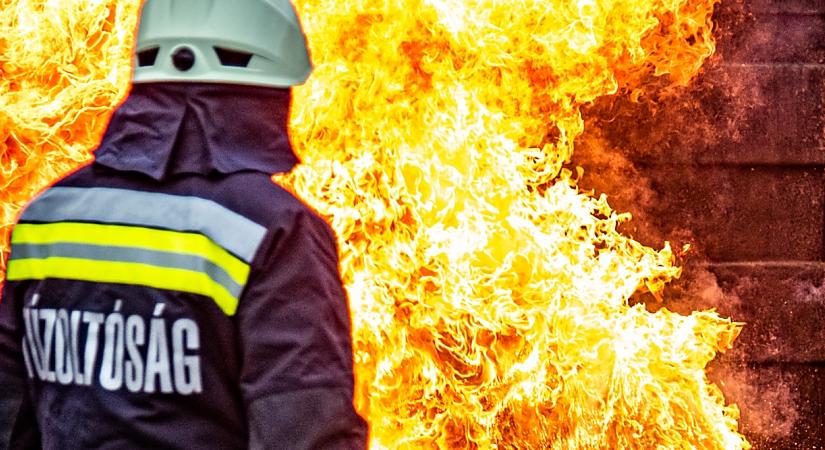 Nagy területen kapott lángra a nádas Egyek külterületén