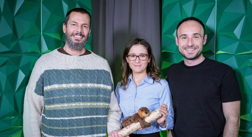 zCast: Van, ahol már menteni való béka sem maradt – beszélgetés kiszárított tájakról, kibetonozott patakokról és hódokat utánzó aktivistákról