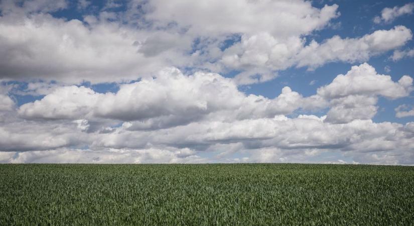 A napsütéssel megérkezhet a nyári időjárás márciusban?