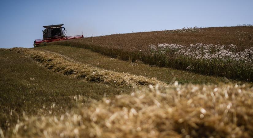 Műtrágyakrízis jön, ha az iráni helyzet nem oldódik meg – mi lesz így az élelmiszeriparral?