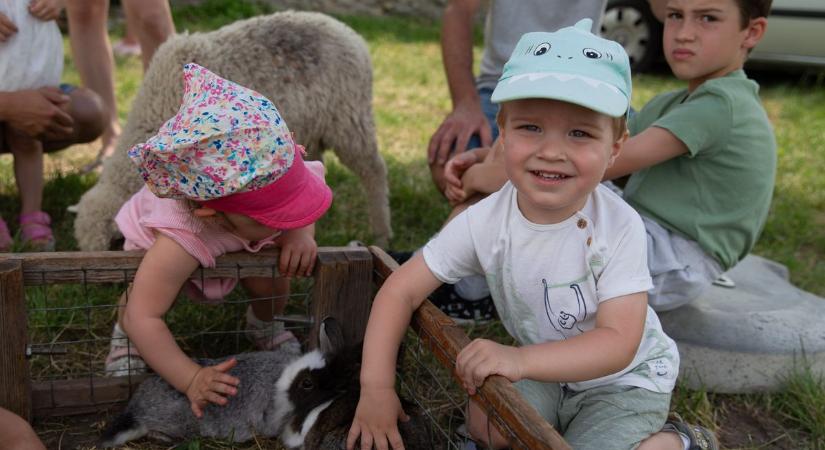 10 hétvégi gyerekprogram, amire nem lehet nemet mondani - Süsü már felkészült