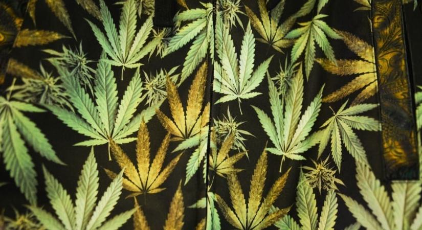 Egereket kezeltek a kannabisz két vegyületével, az eredmény milliókat segíthet meggyógyítani