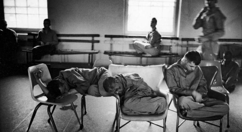 Józanok az őrültek között