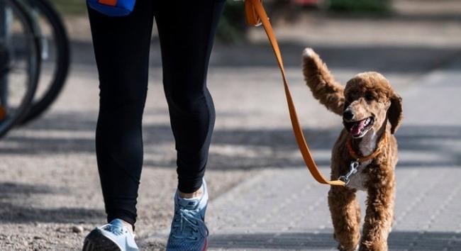 Friss időjárás-előrejelzés péntekre, a csillagászati tavasz első napjára