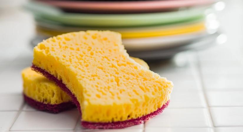 Így szennyez a mosogatószivacs