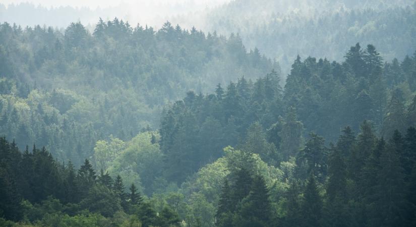 Egy eltűnt földrész titkaira bukkantak az Északi‑tenger mélyén