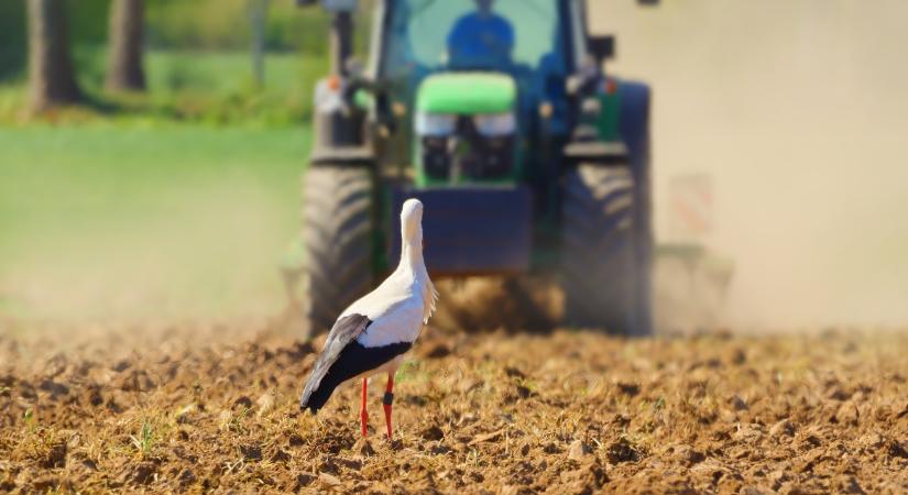 Használd ki a hétvégét, jövő héten nagy fordulatot vehet az időjárás!