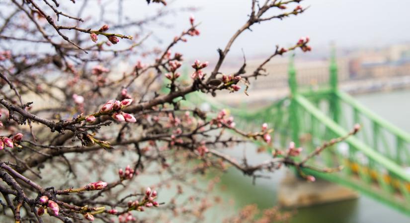 Időjárás 2026. március 20.: Többnyire felhős, de kellemes tavaszi meleg