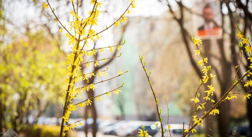 Kissé szeles péntek