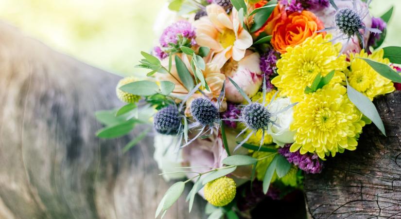 Ma, március 20.: Klaudia névnapja van – milyen a személyisége?