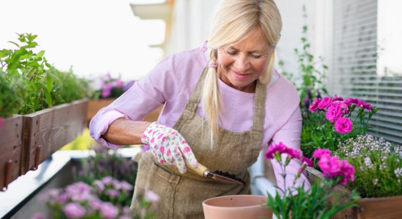 4 balkonvirág, amit most ültess el: színpompás lesz az erkély heteken belül