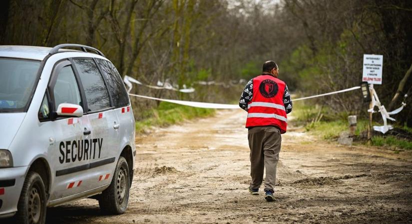Halálos betegség Pécs határában – a kutyákra és a macskákra is súlyos veszélyt jelent